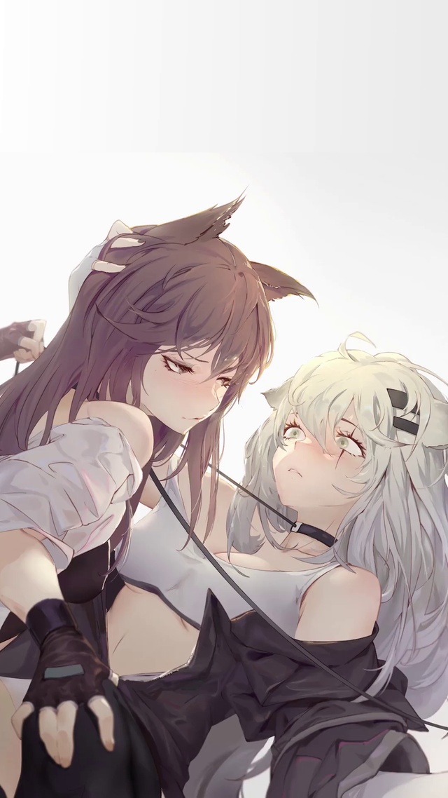 6拉狗竟被德狗按在地上？