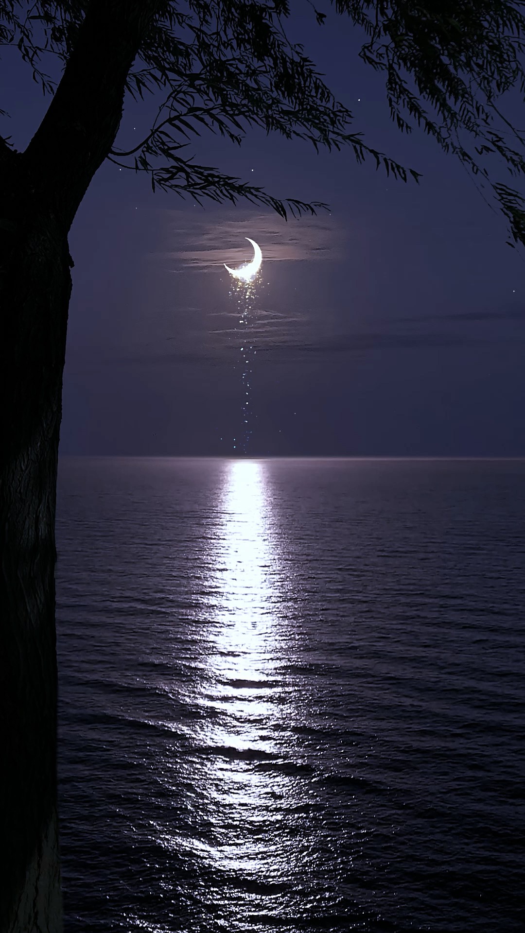 海上月夜摄影图__自然风景_自然景观_摄影图库_昵图网nipic.com