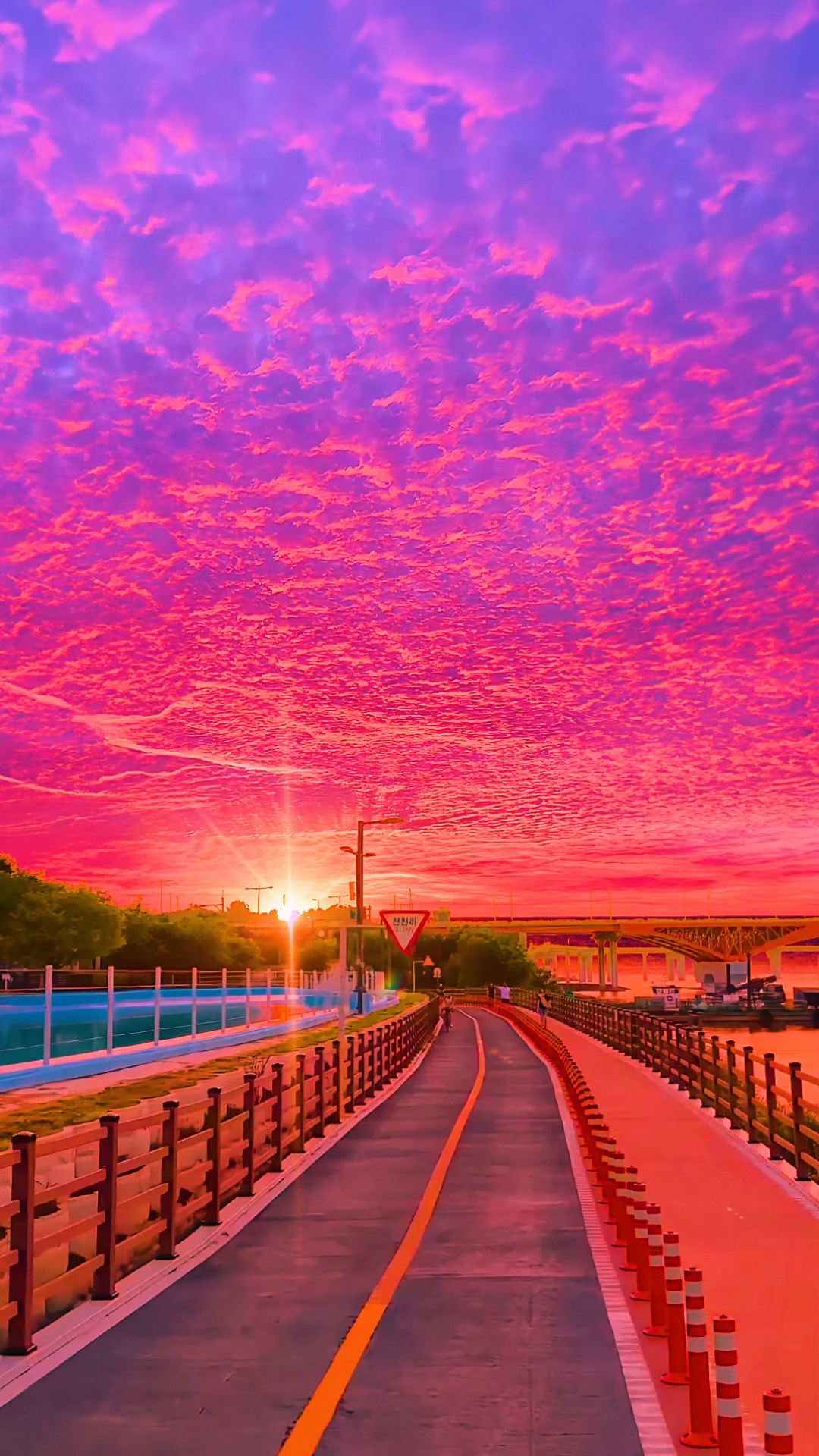 治愈美景