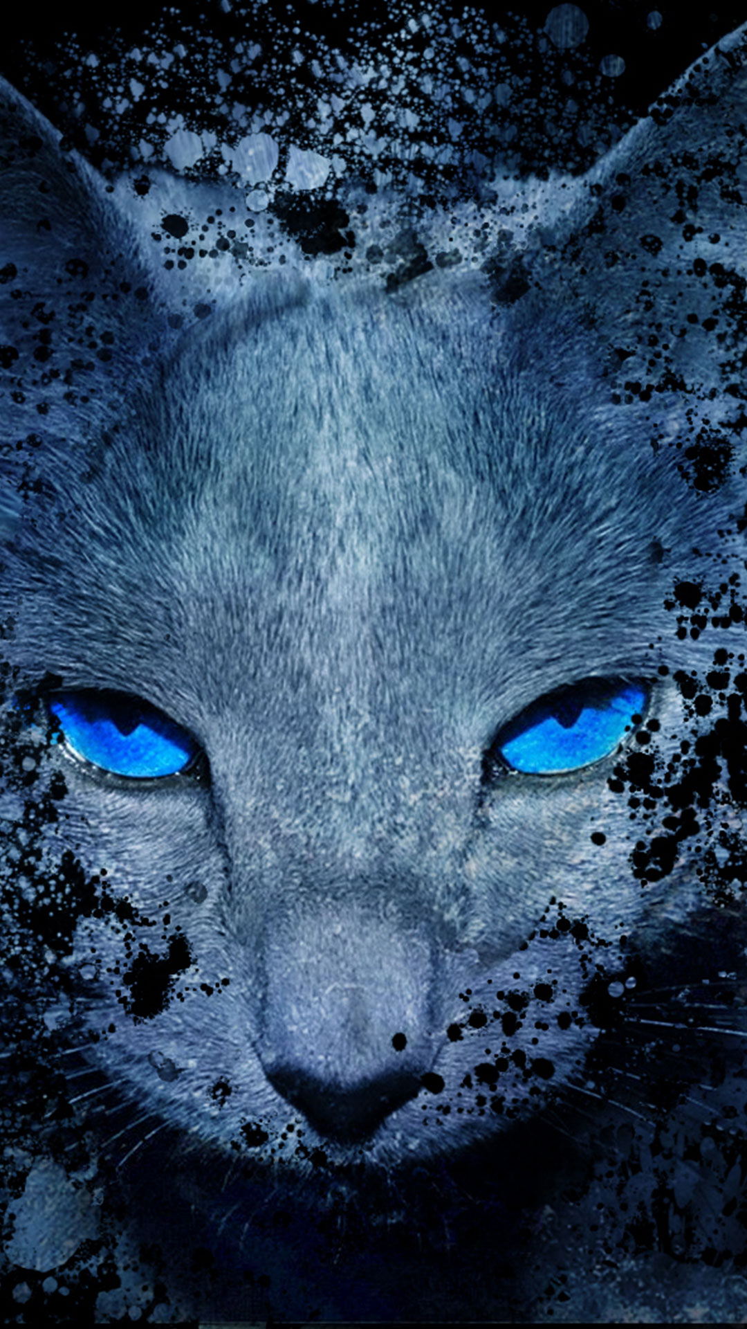 科技猫咪