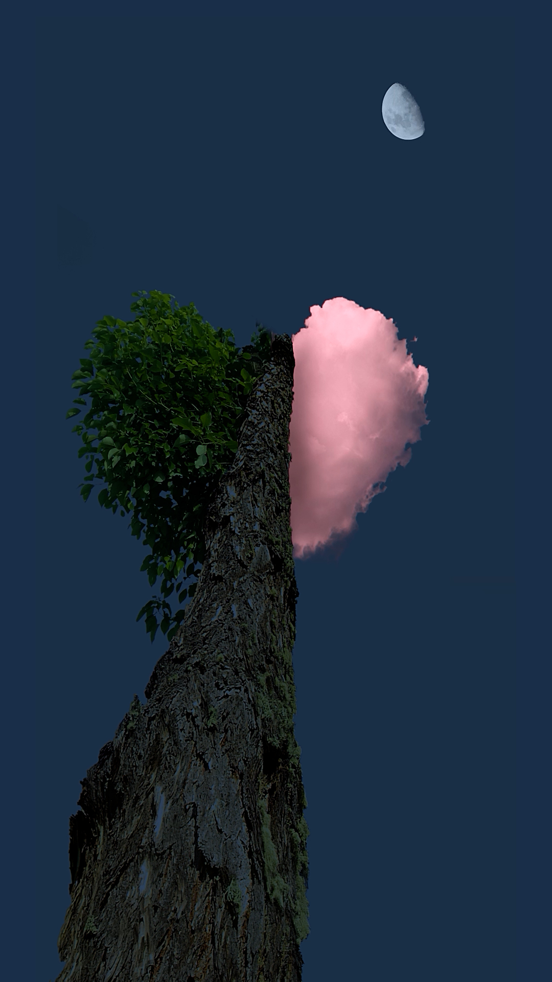 夜景心性樹