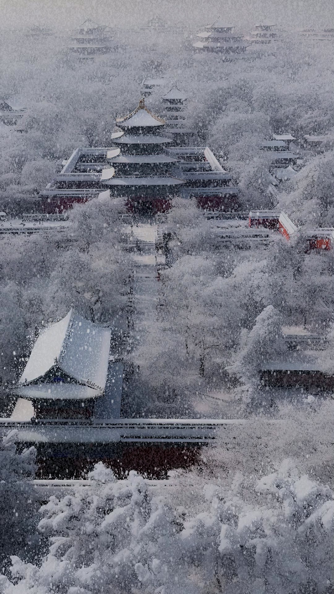 故宫雪景