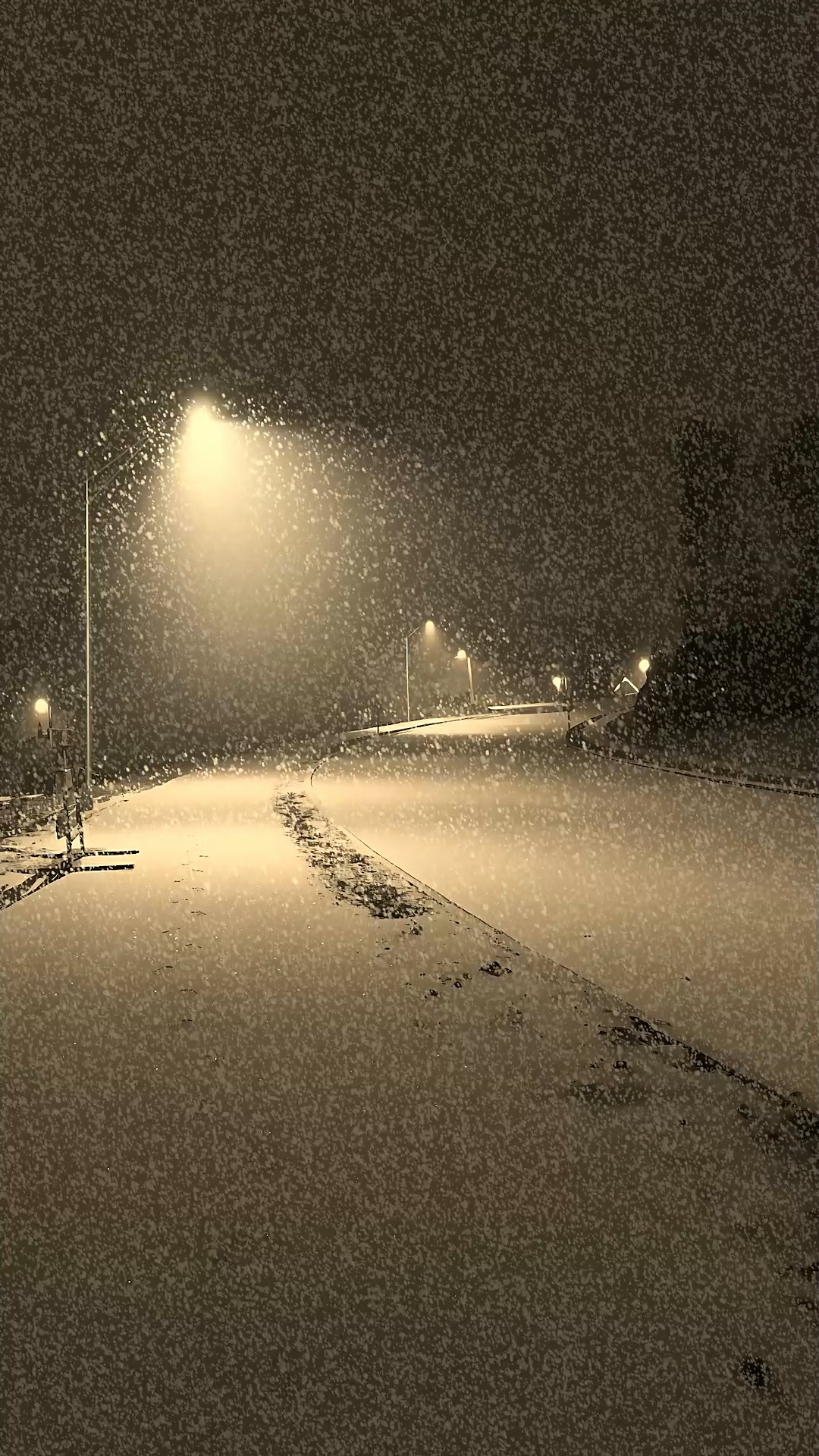 夜晚下雪壁纸 风景手机动态壁纸 风景手机壁纸下载 元气壁纸