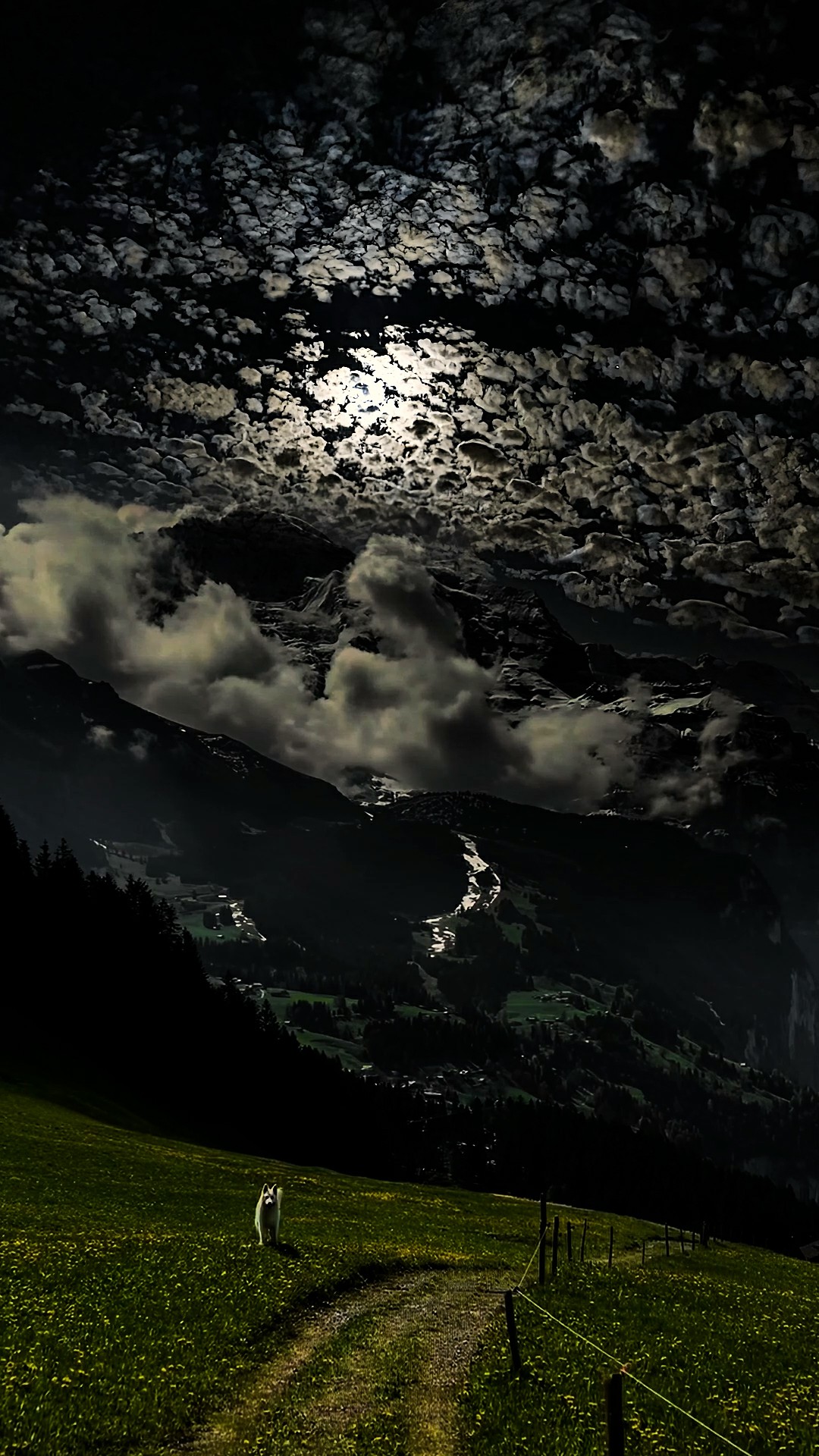 高清夜景