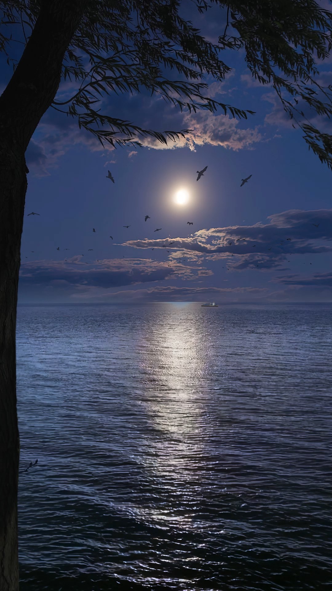 唯美夜景
