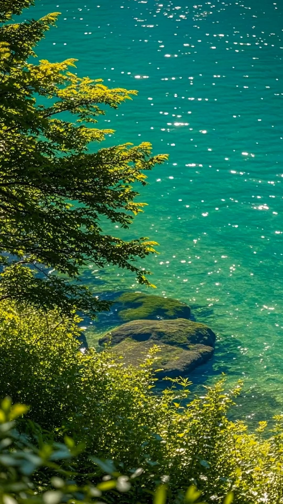 青山绿水