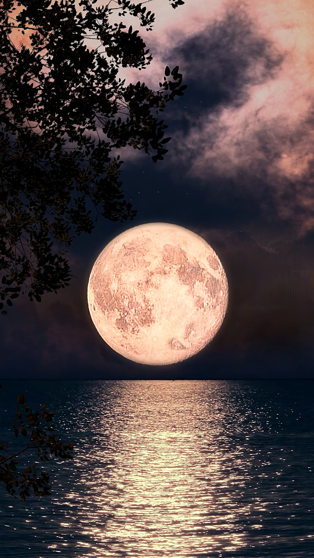 月色正朦胧拨得云开见月明满月时分月球表面的阴影清晰可见