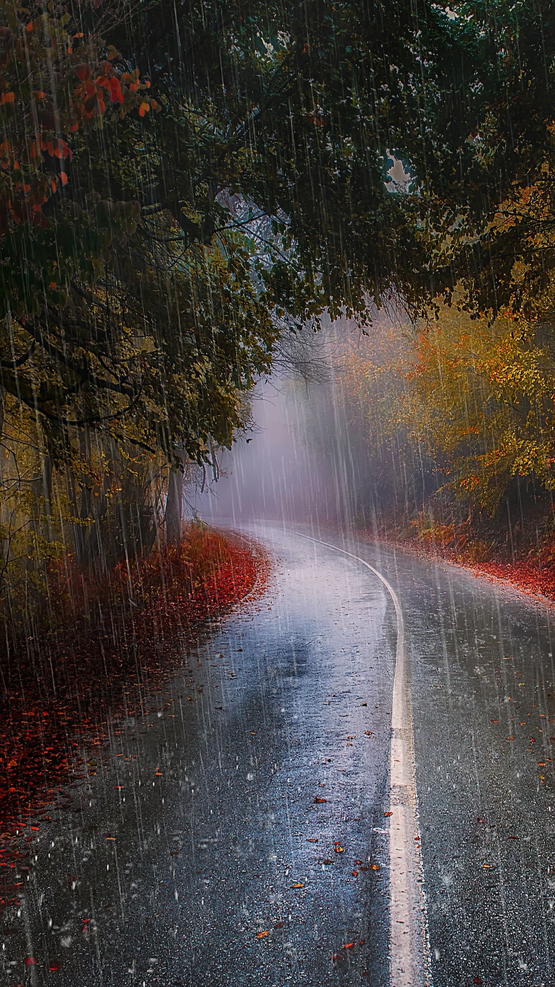 雨天手机高清壁纸