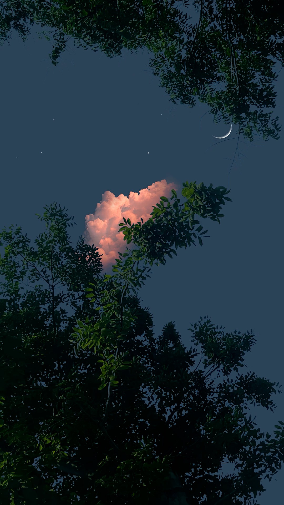 夜景月亮