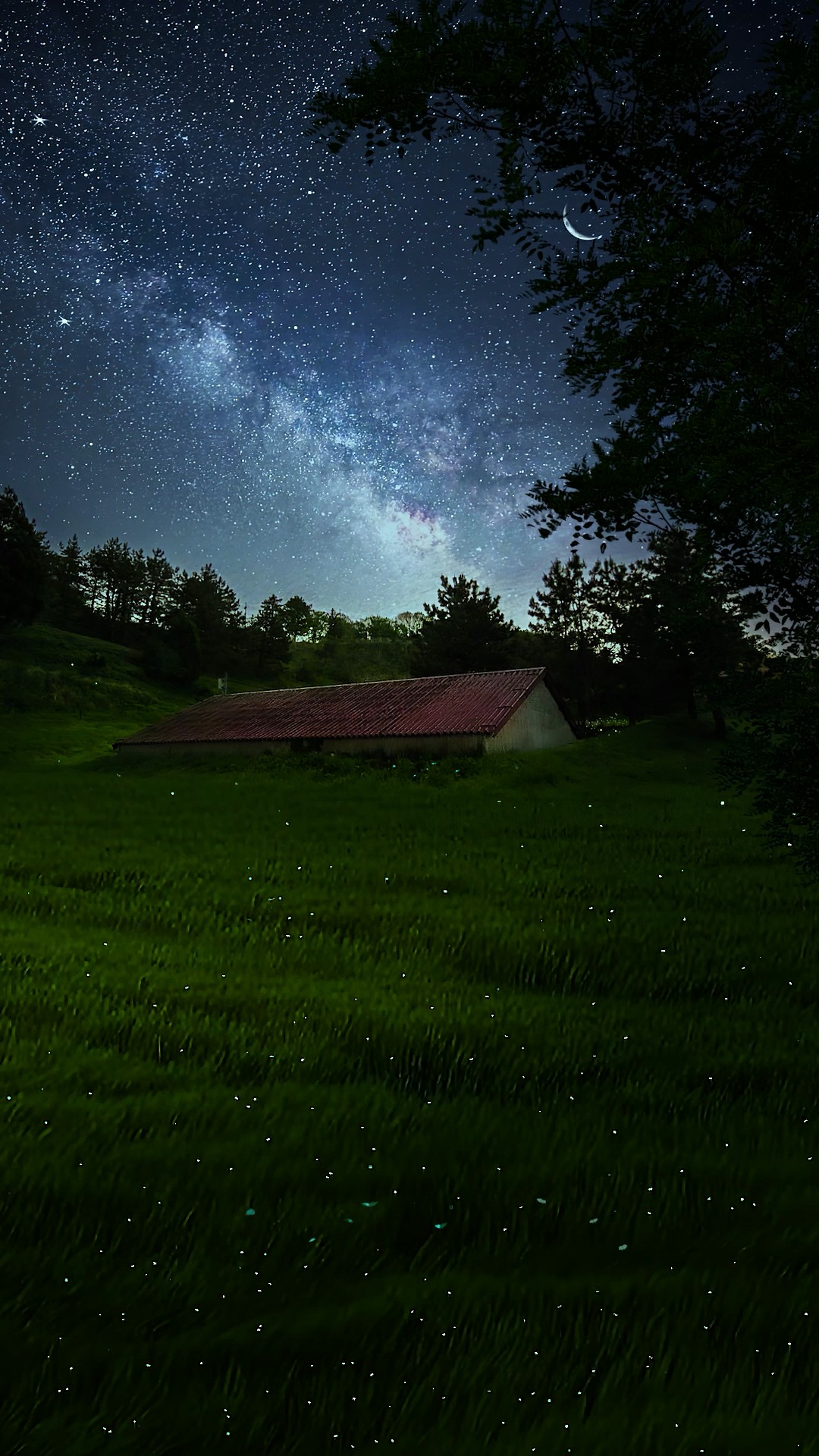 4K高清 故乡的夜风景