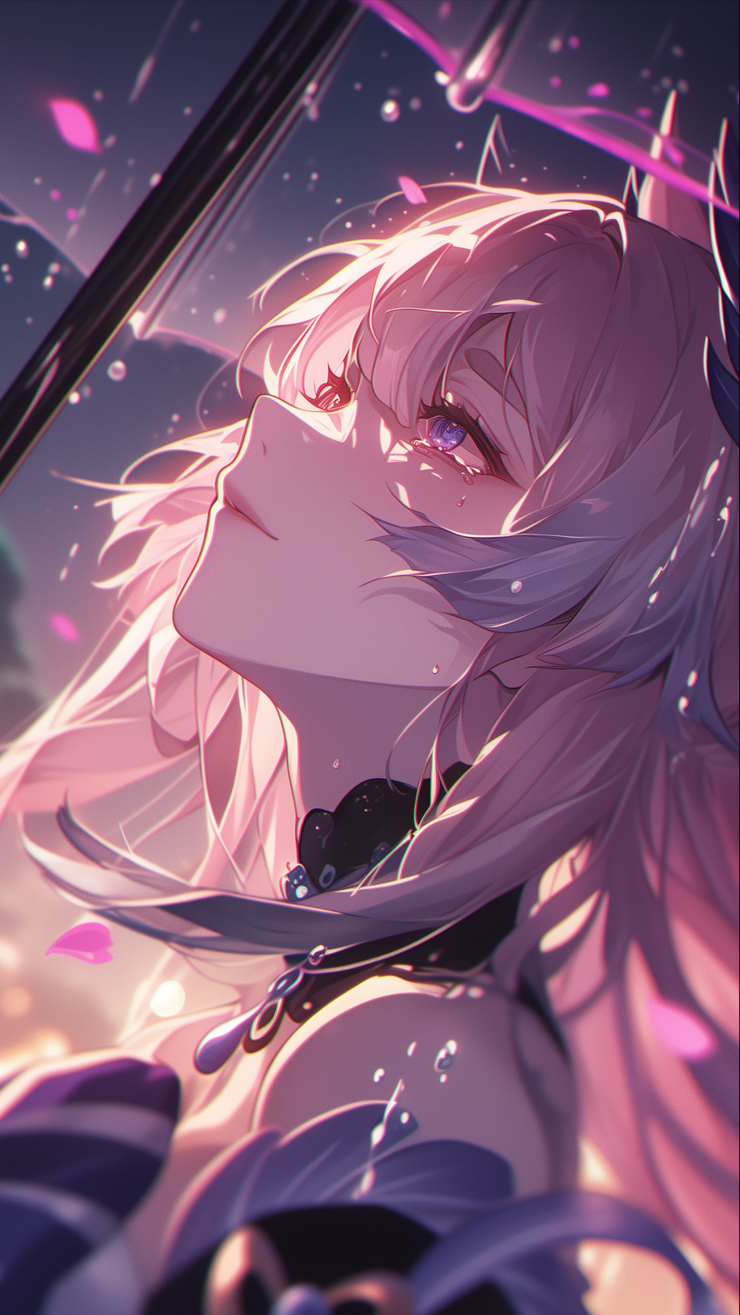 心海/仰望