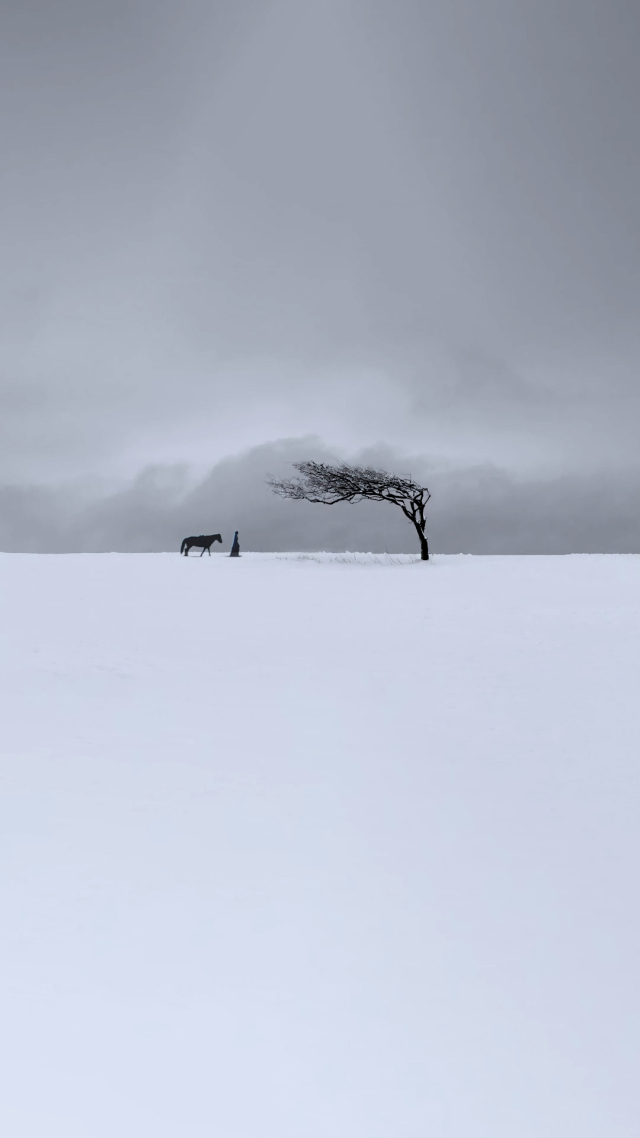 古風意境雪天