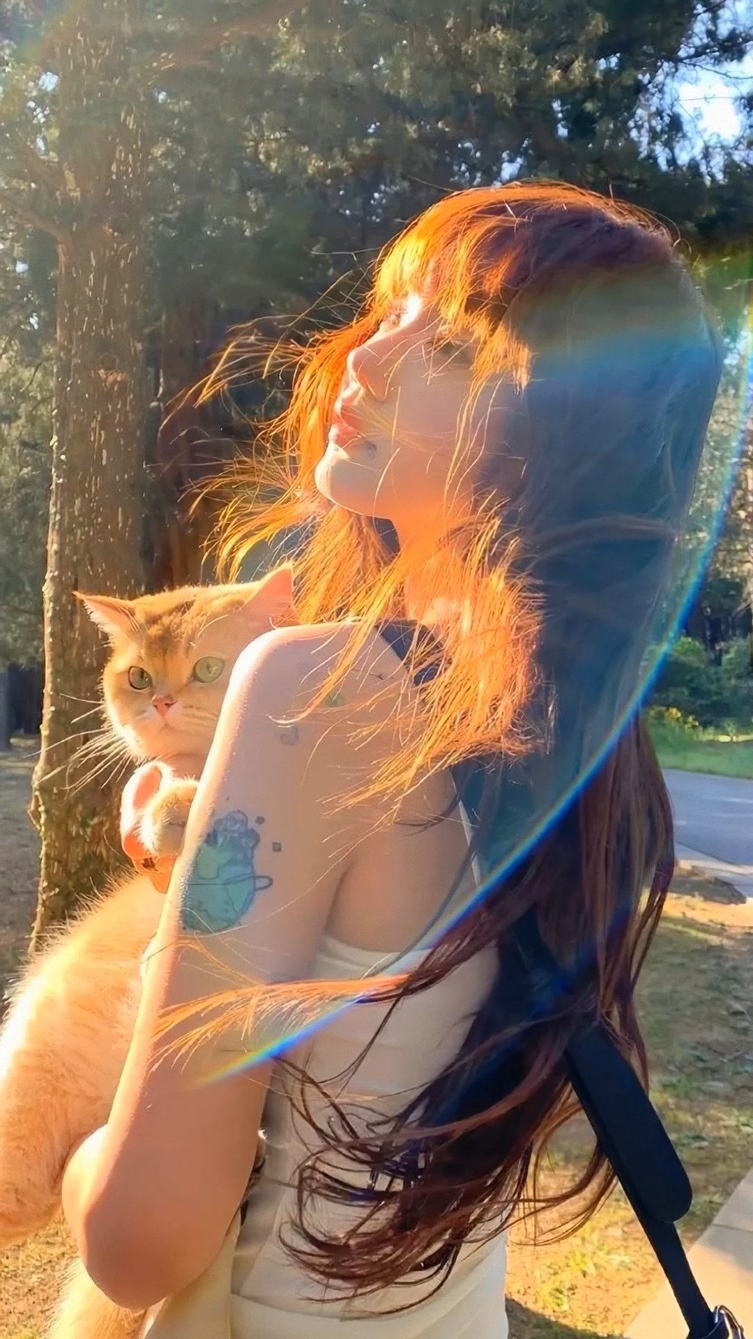 阳光下的温暖女神