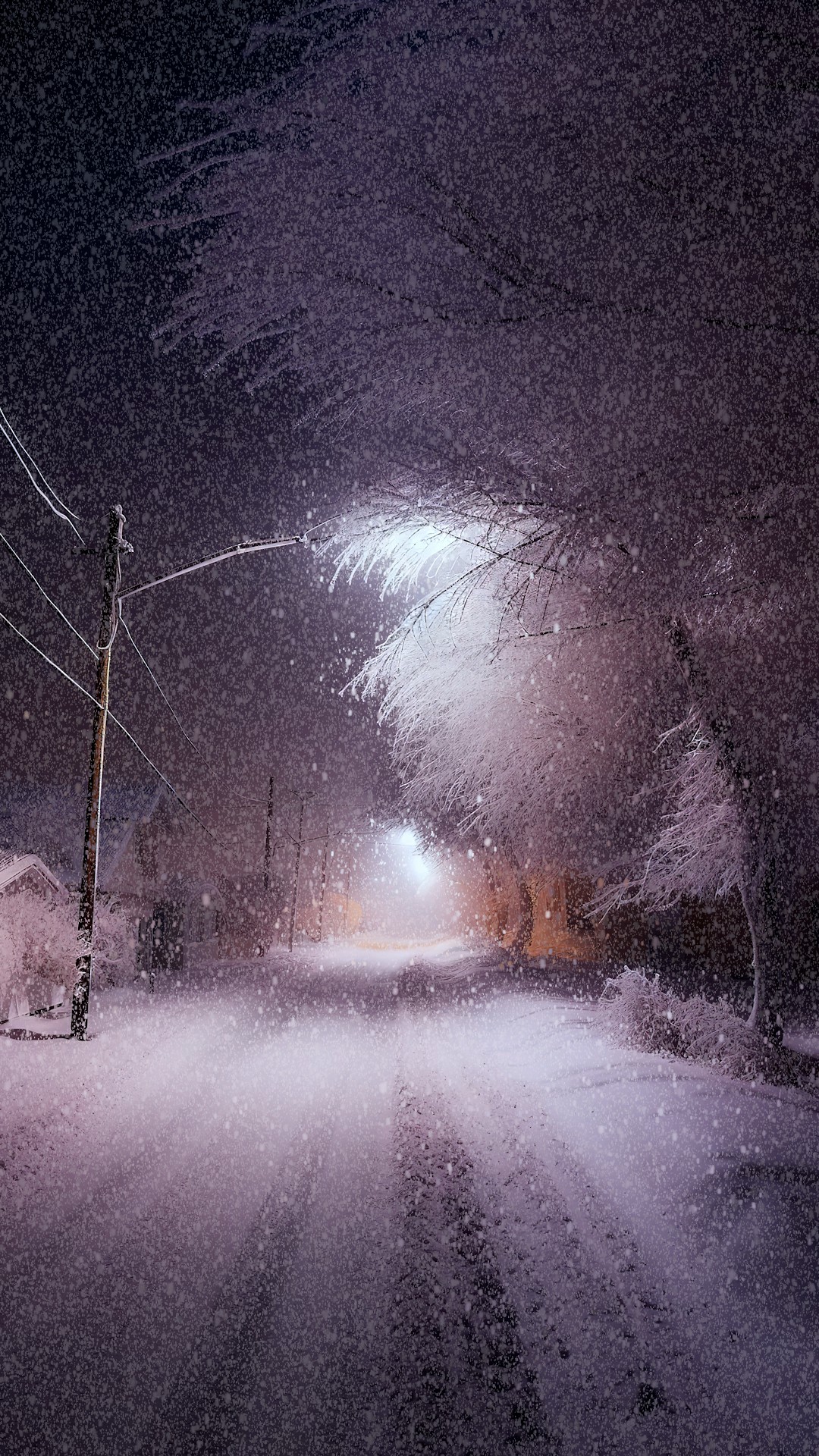 雪一落就成了诗