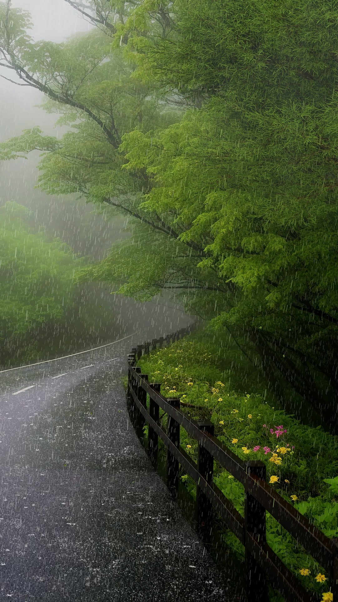 清晨雨天