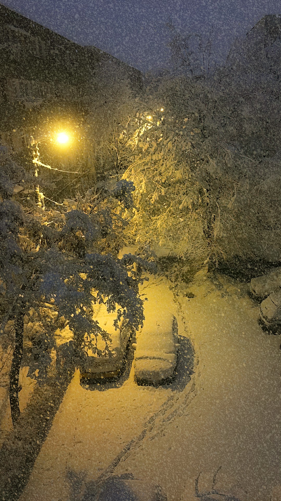 下雪浪漫街景_1920X1080_高清视频素材下载(编号:347256)_舞台背景_VJ师网 www.vjshi.com