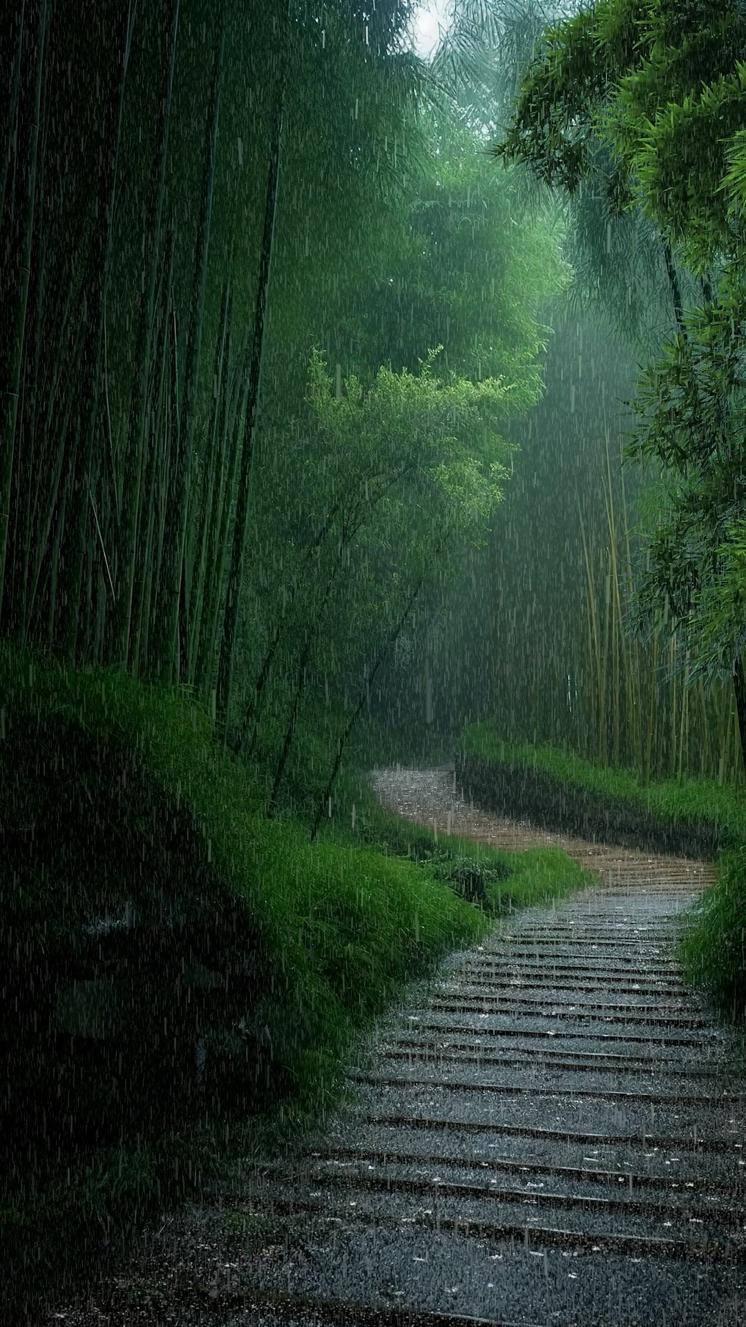 竹林细雨