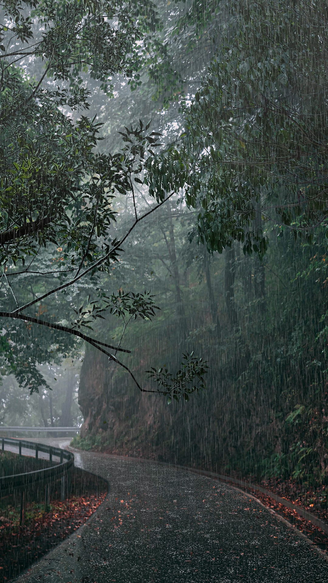 【细雨中的森林公园摄影图片】风光摄影_追色_太平洋电脑网摄影部落