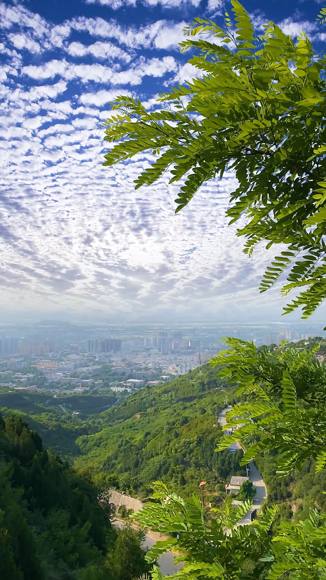 山川美景