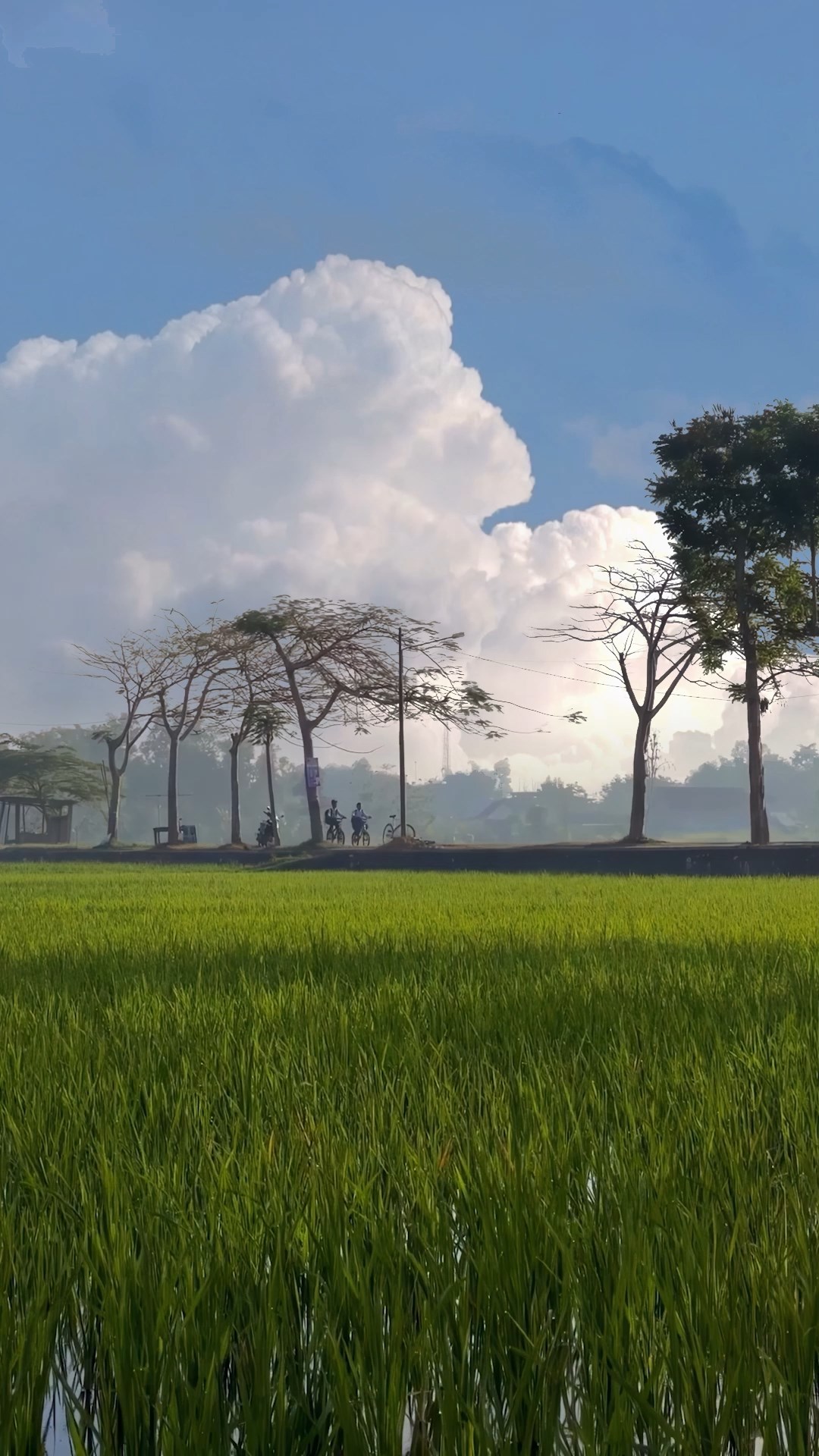 治愈美景