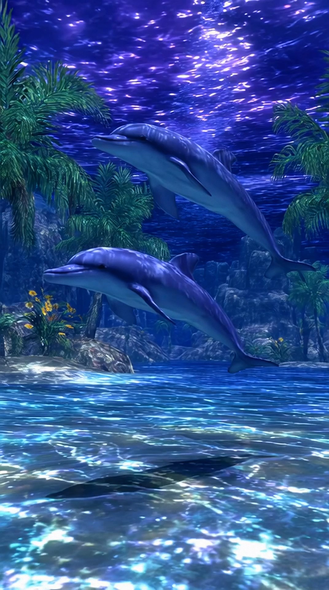 可爱海豚