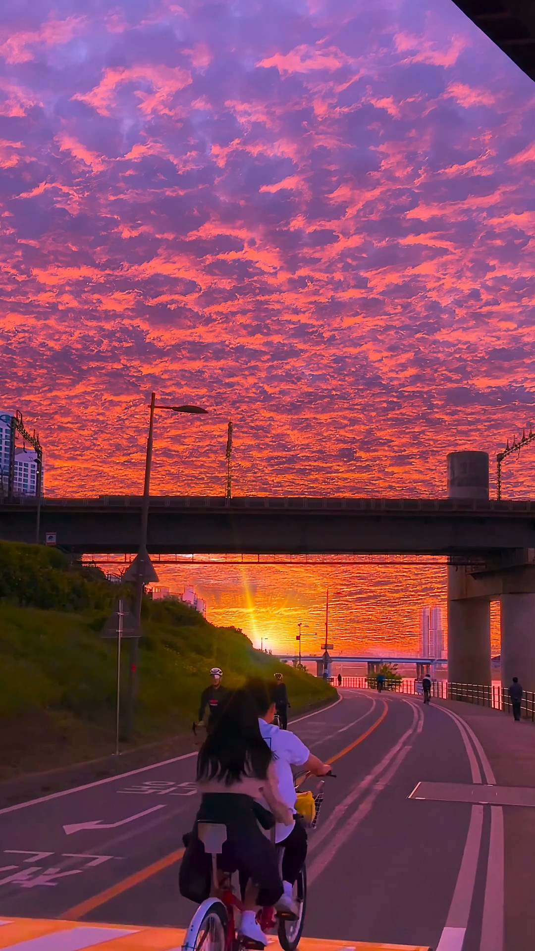 治愈美景
