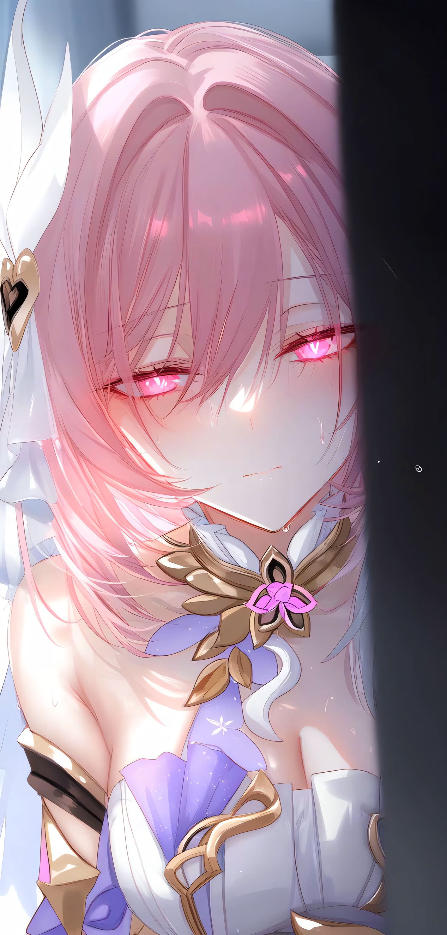 爱莉希雅/注视