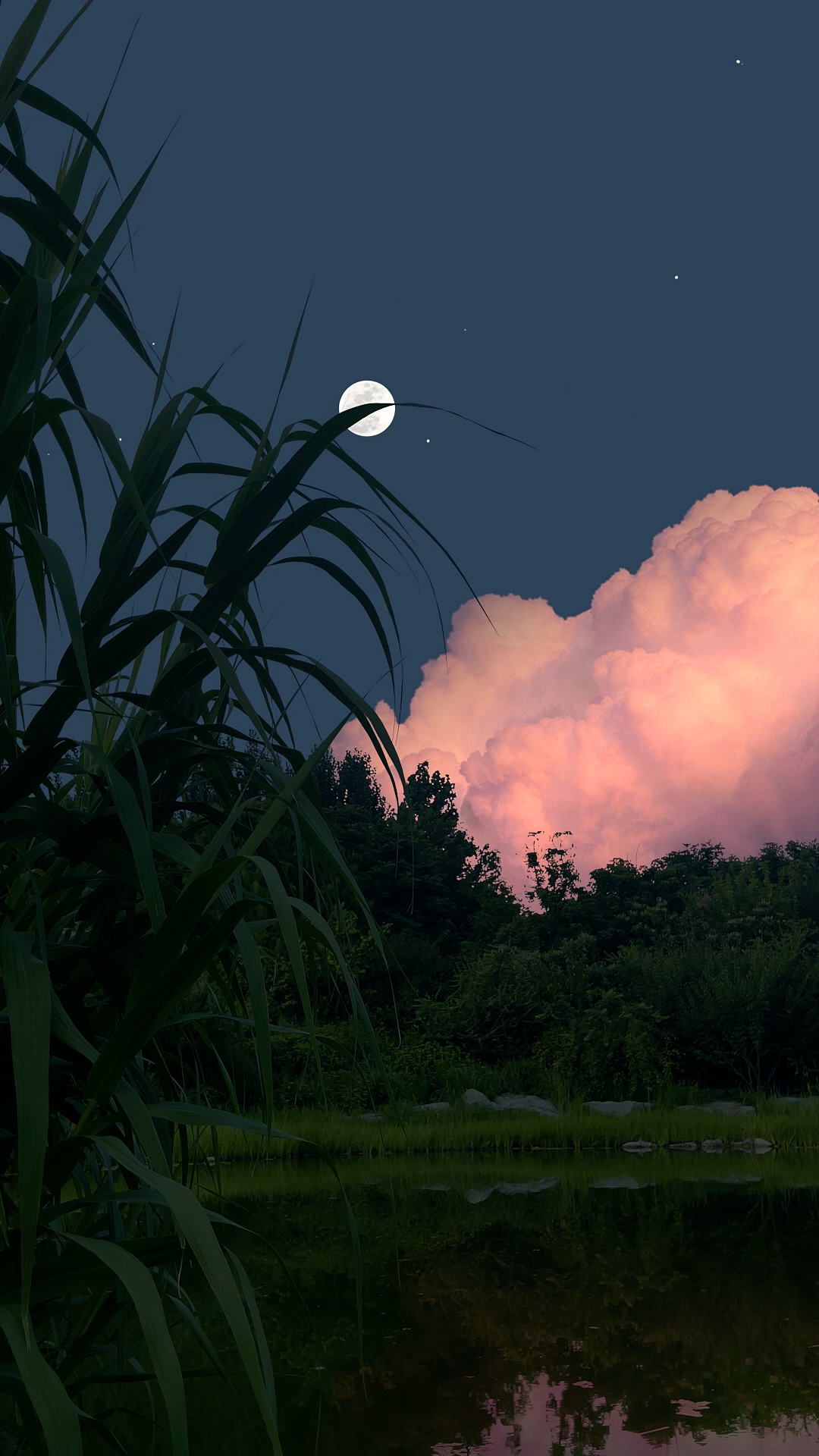 夜晚小屋(风景手机动态壁纸) - 风景手机壁纸下载 - 元气壁纸