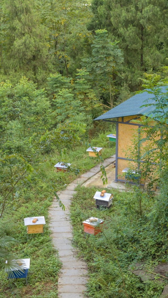 鄉間小路