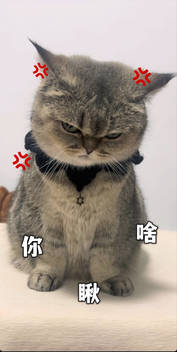 你瞅啥
