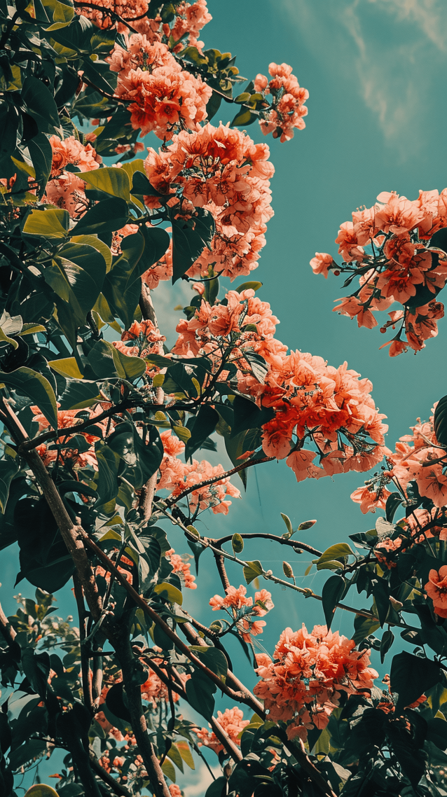 花间事1