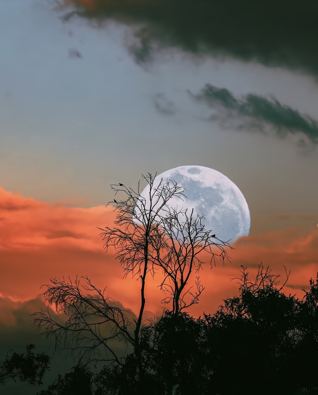 夕阳