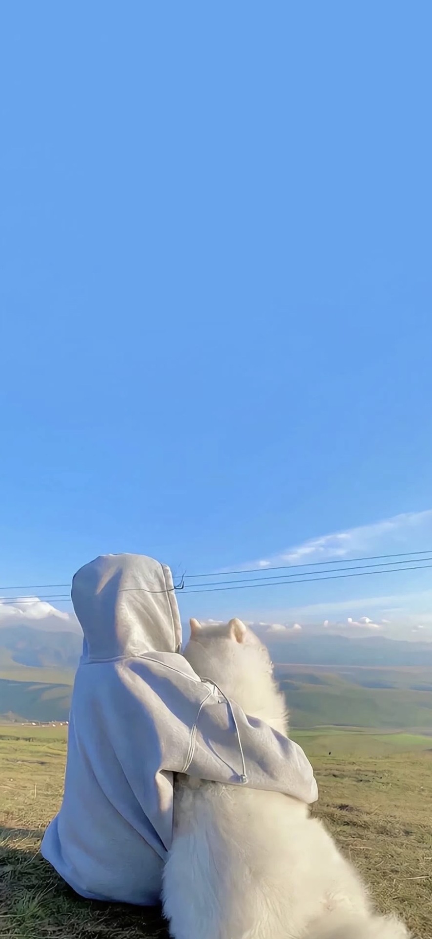 單身狗