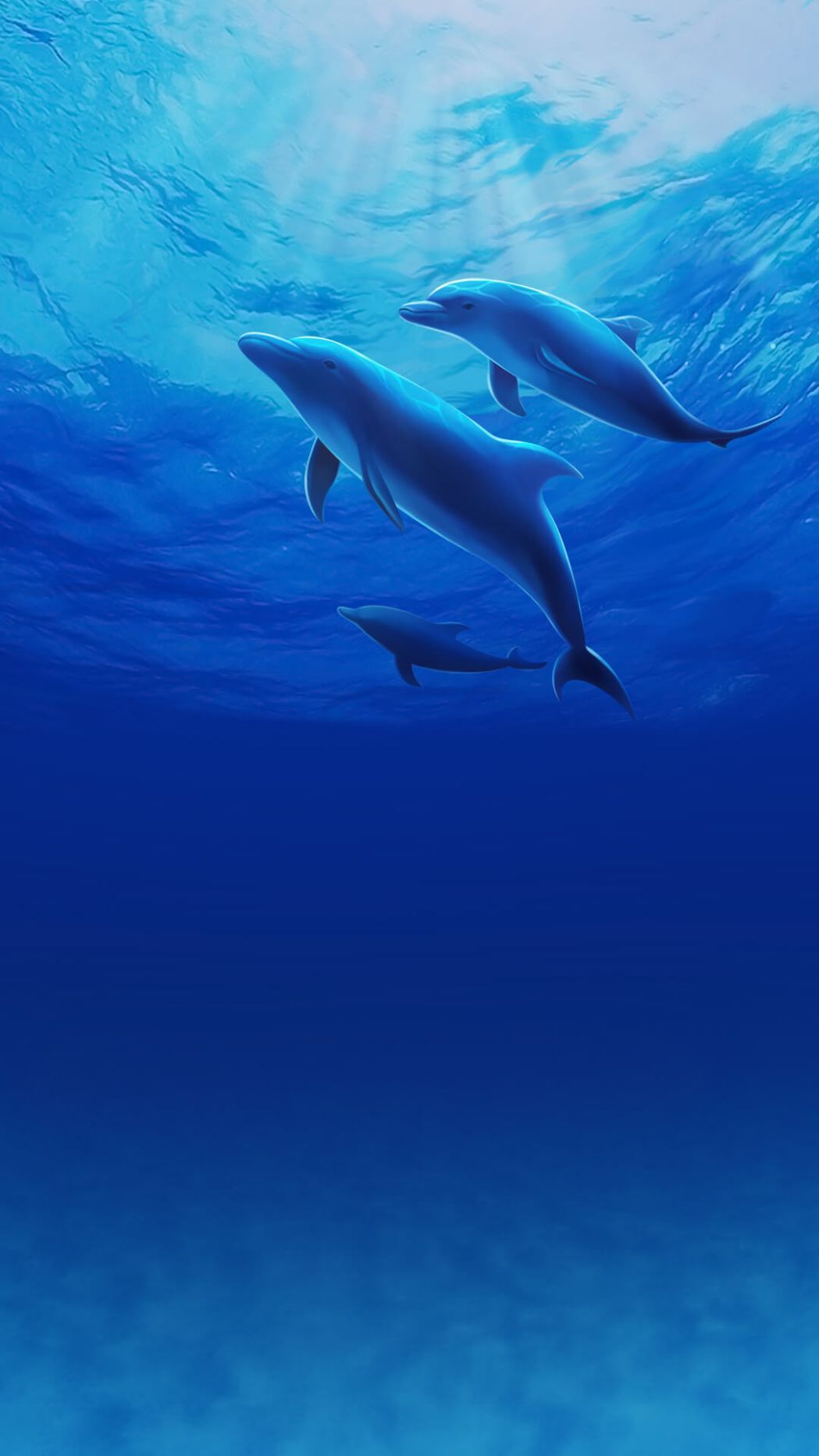 海豚海洋中