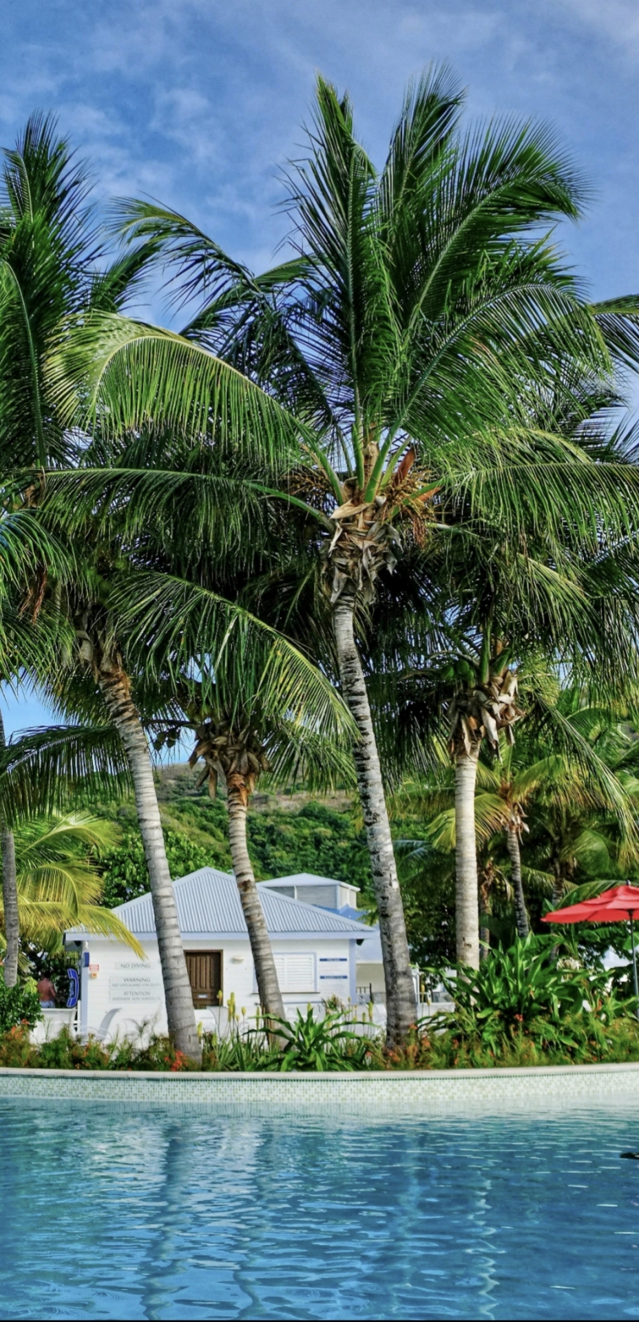 清新护眼风景