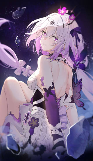 遐蝶