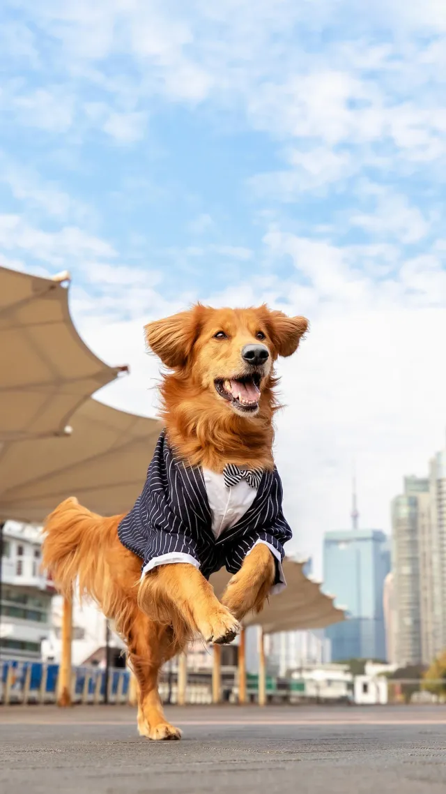 狗