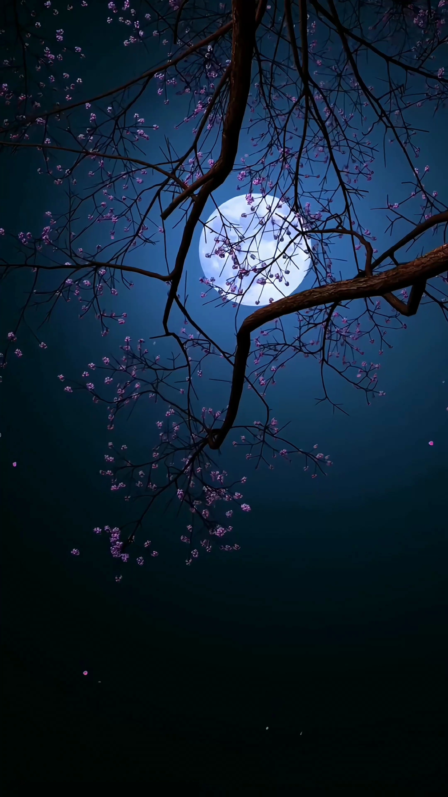 寧靜夜