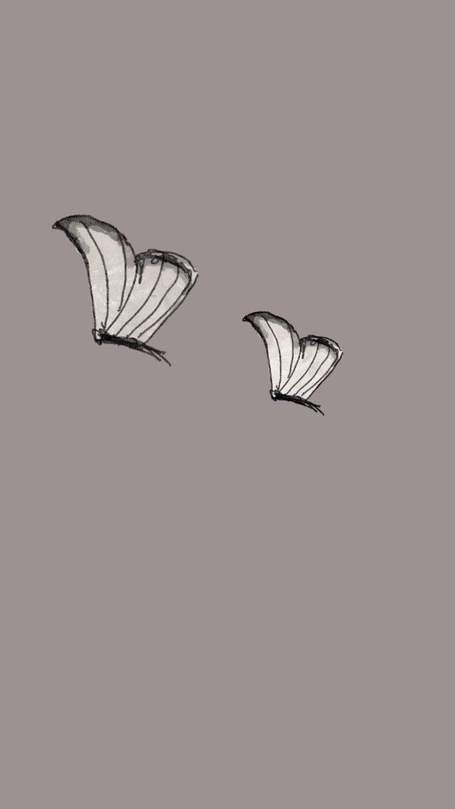 蜻蜓