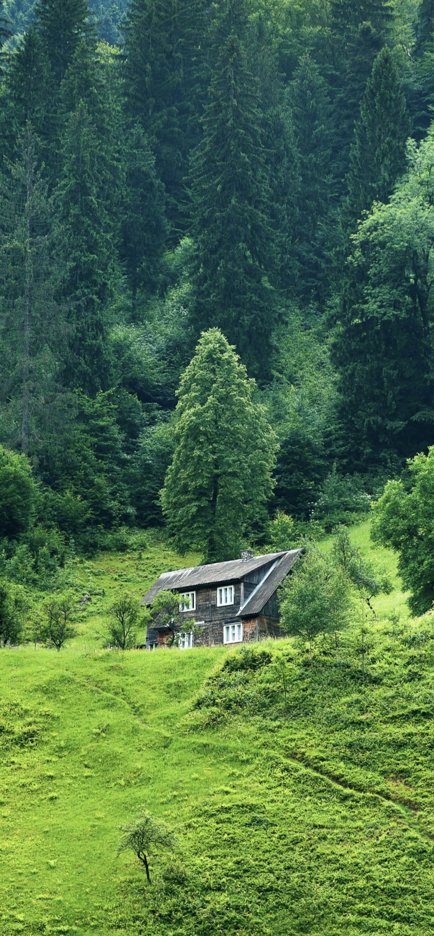 鄉村田野