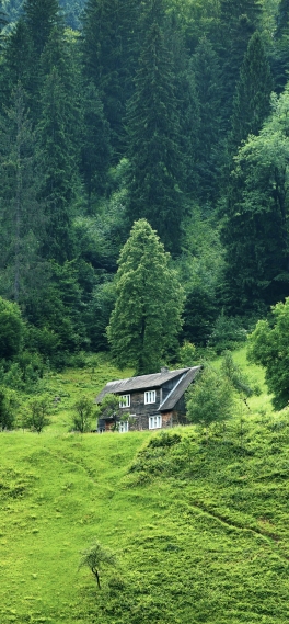 乡村田野