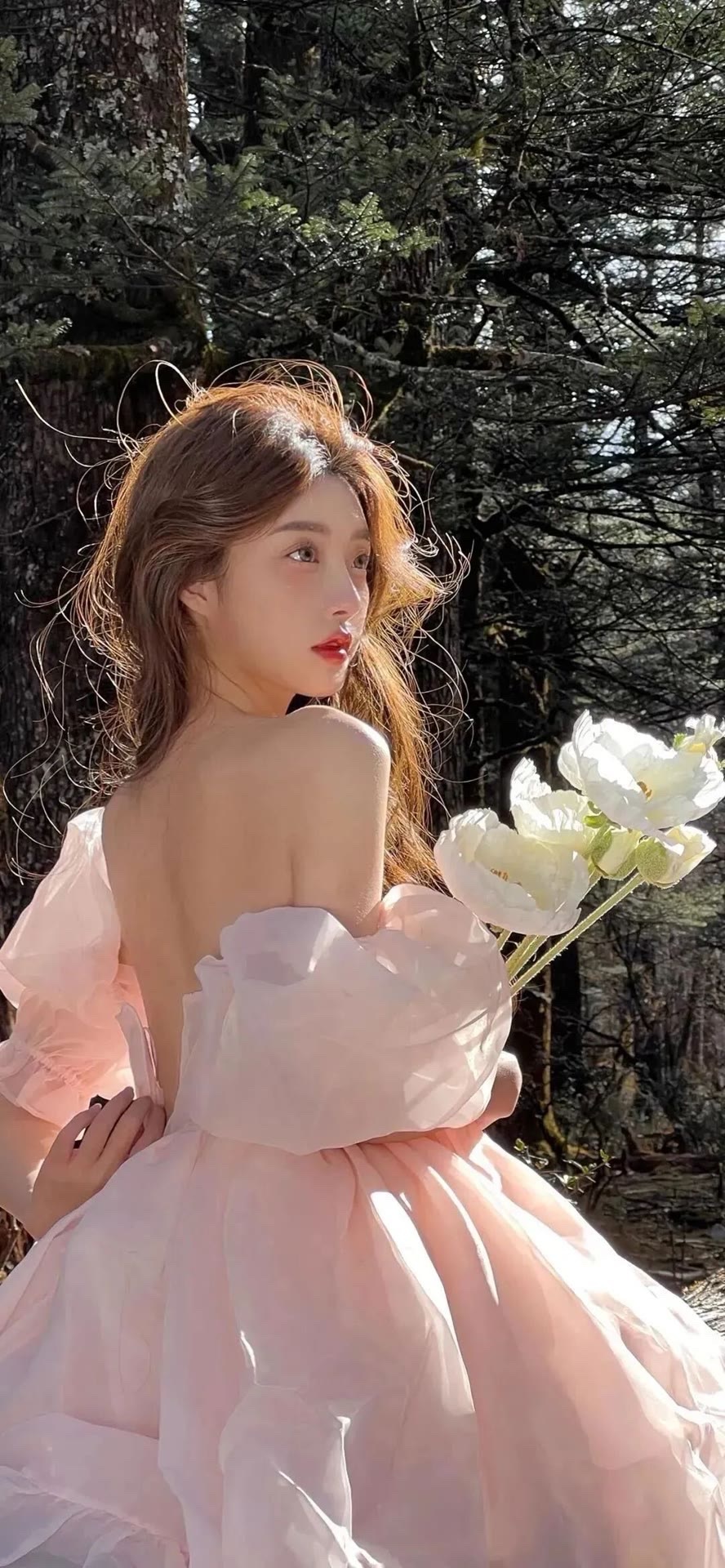 好美做我的新娘吧