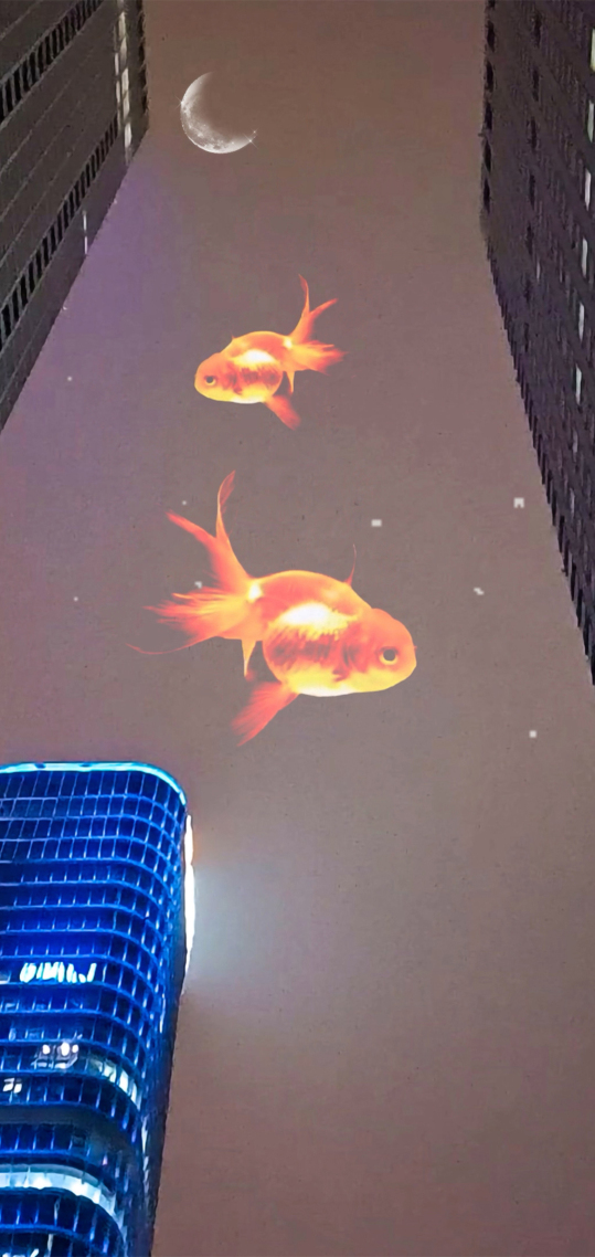 中国尊 鱼 4K