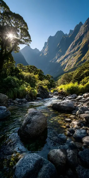 晨光山谷的静谧乐章