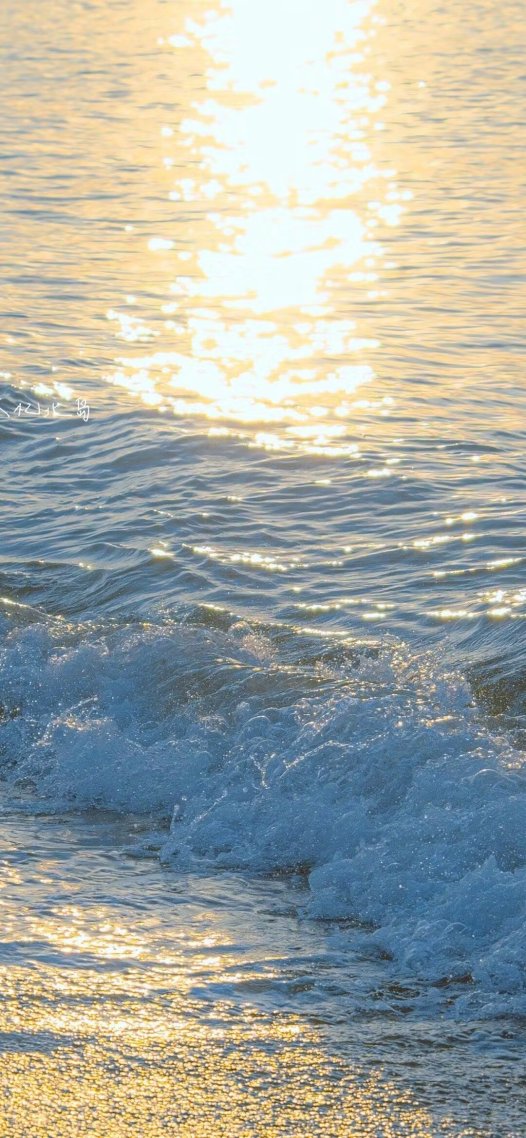 浪