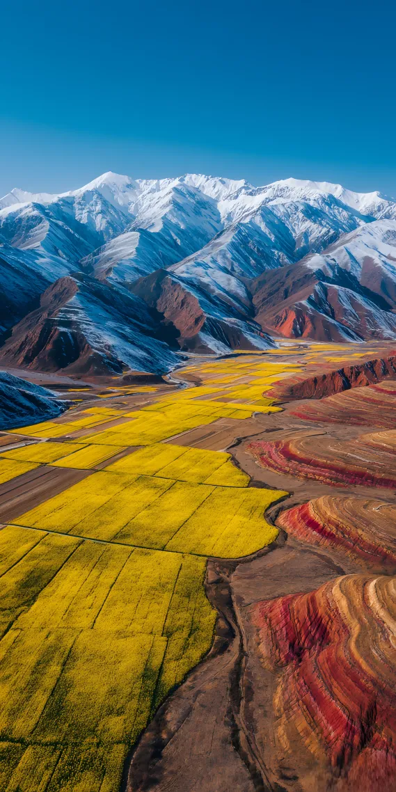 雪域与花田，天地间的绚丽交响