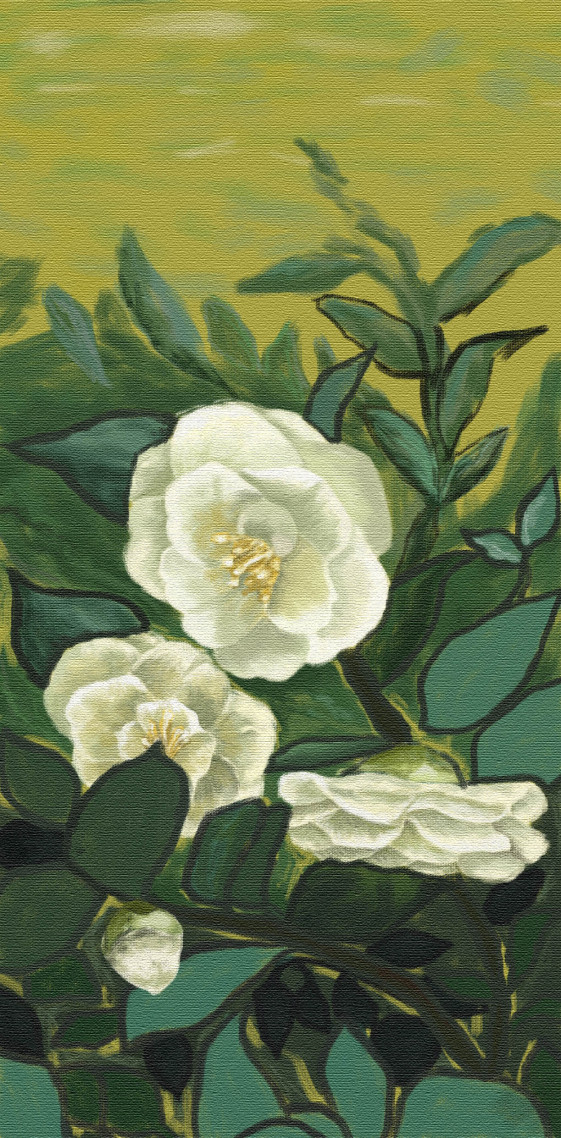 山茶花