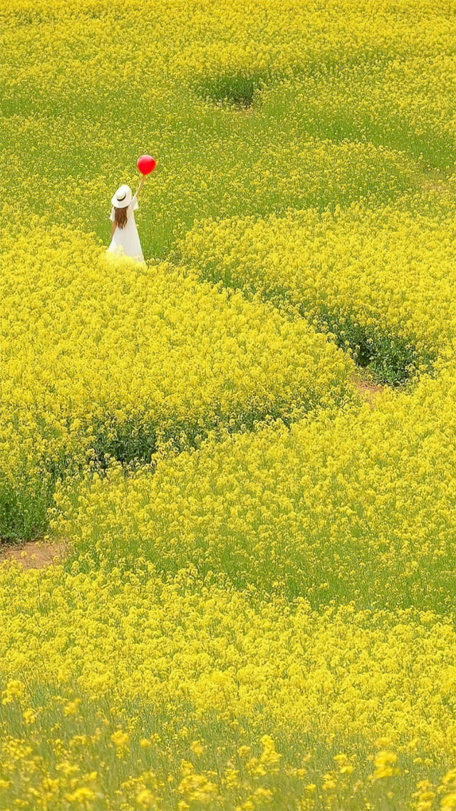 唯美花海