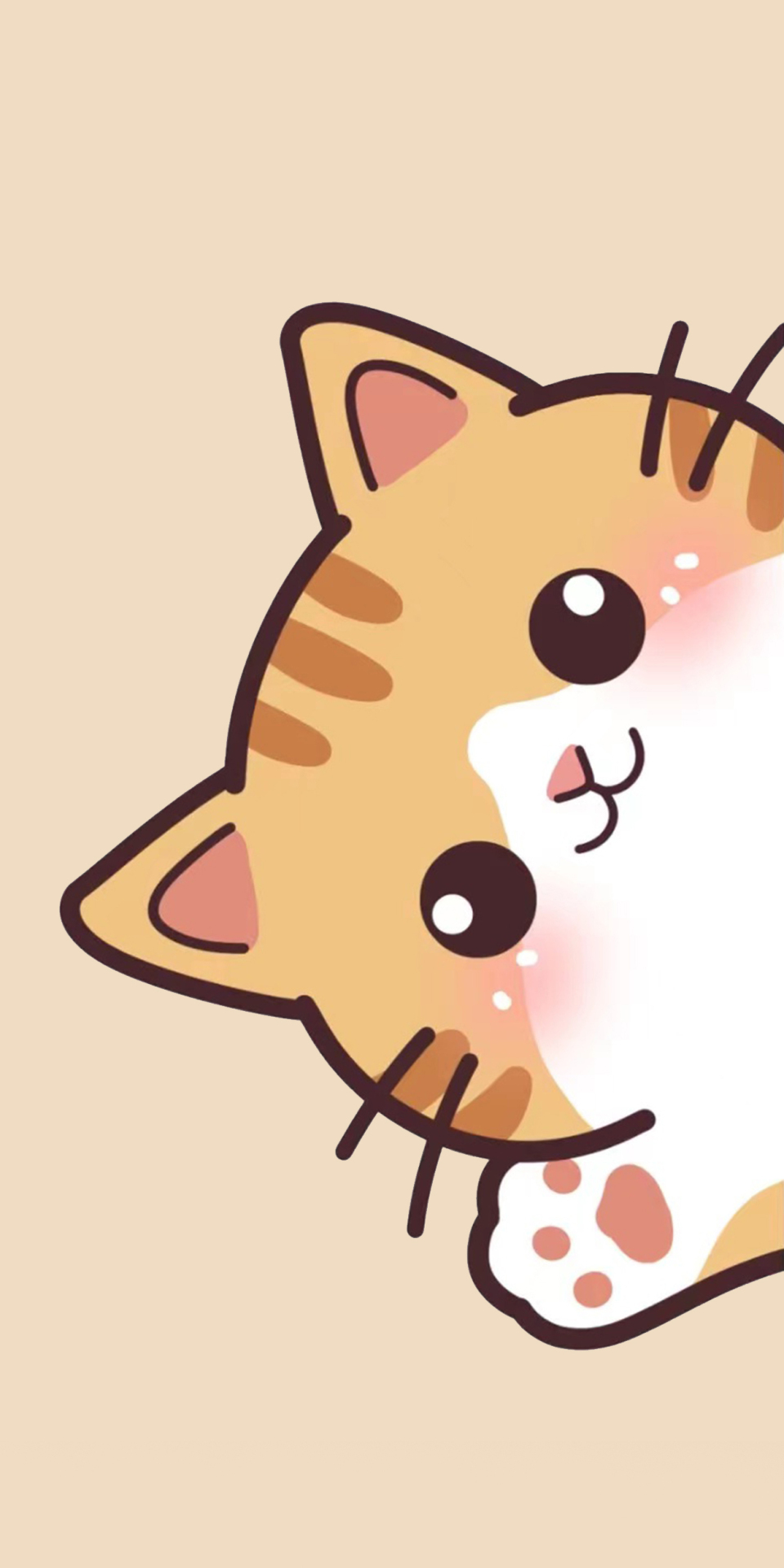 探头猫咪