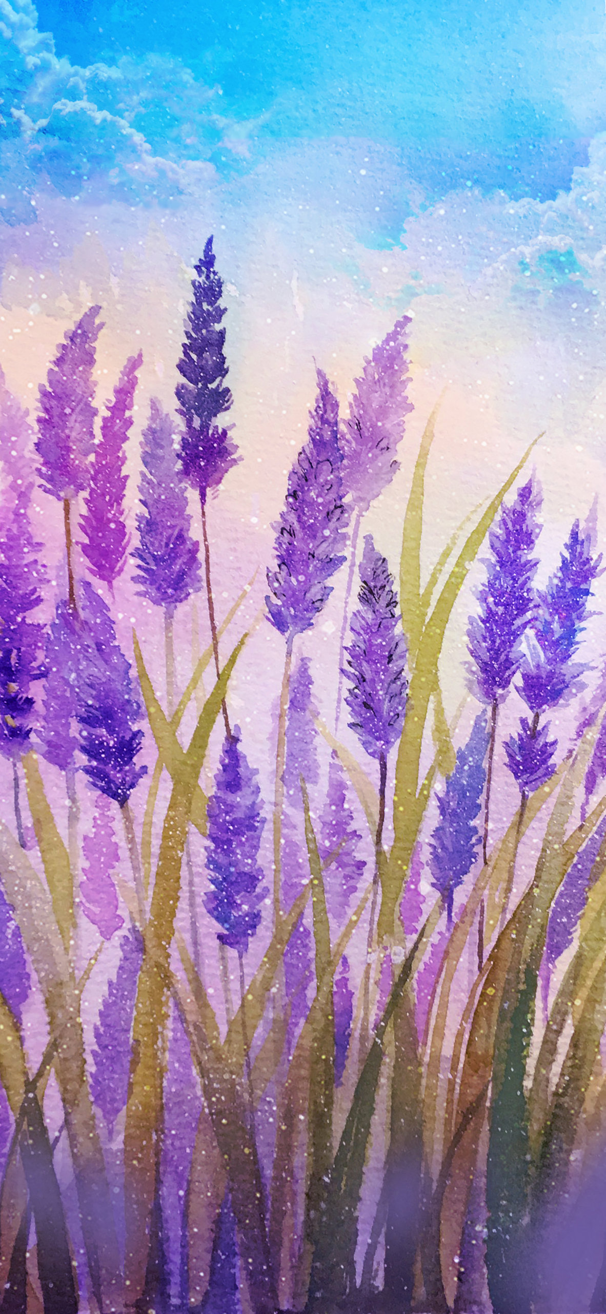 薰衣草